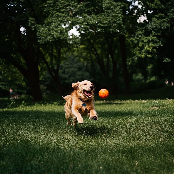 1567e5c1d00fea9c5f0af26f43a14efa