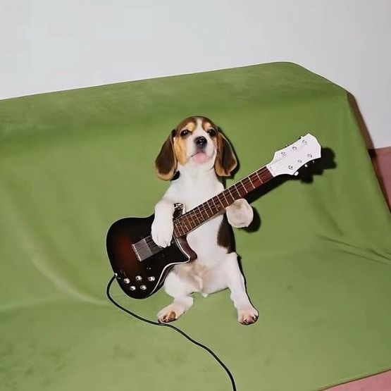 25e666e4c5359cc89b48e93fbdd39472