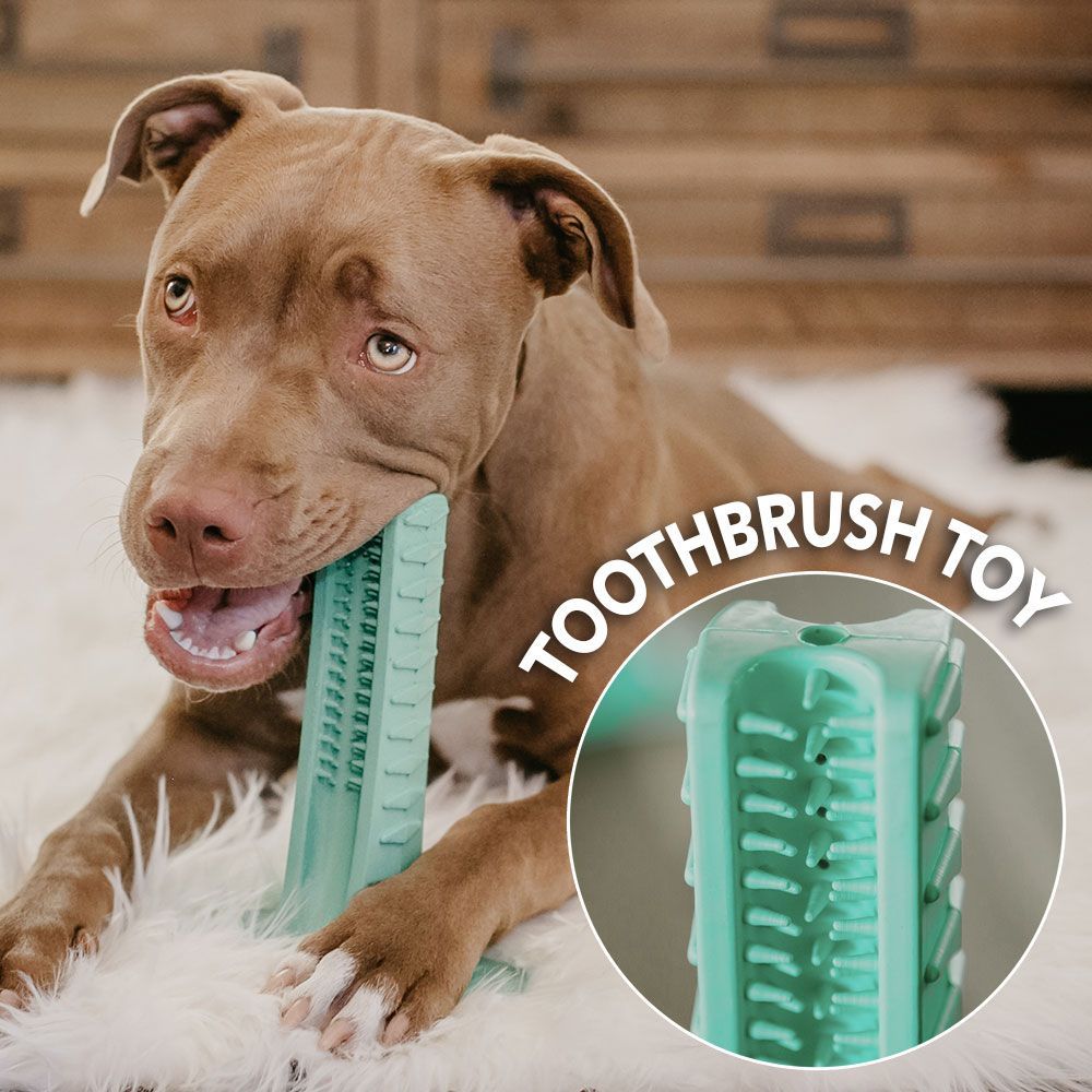 interactive dental health chew stick dog toy interactive dental health chew stick dog toy